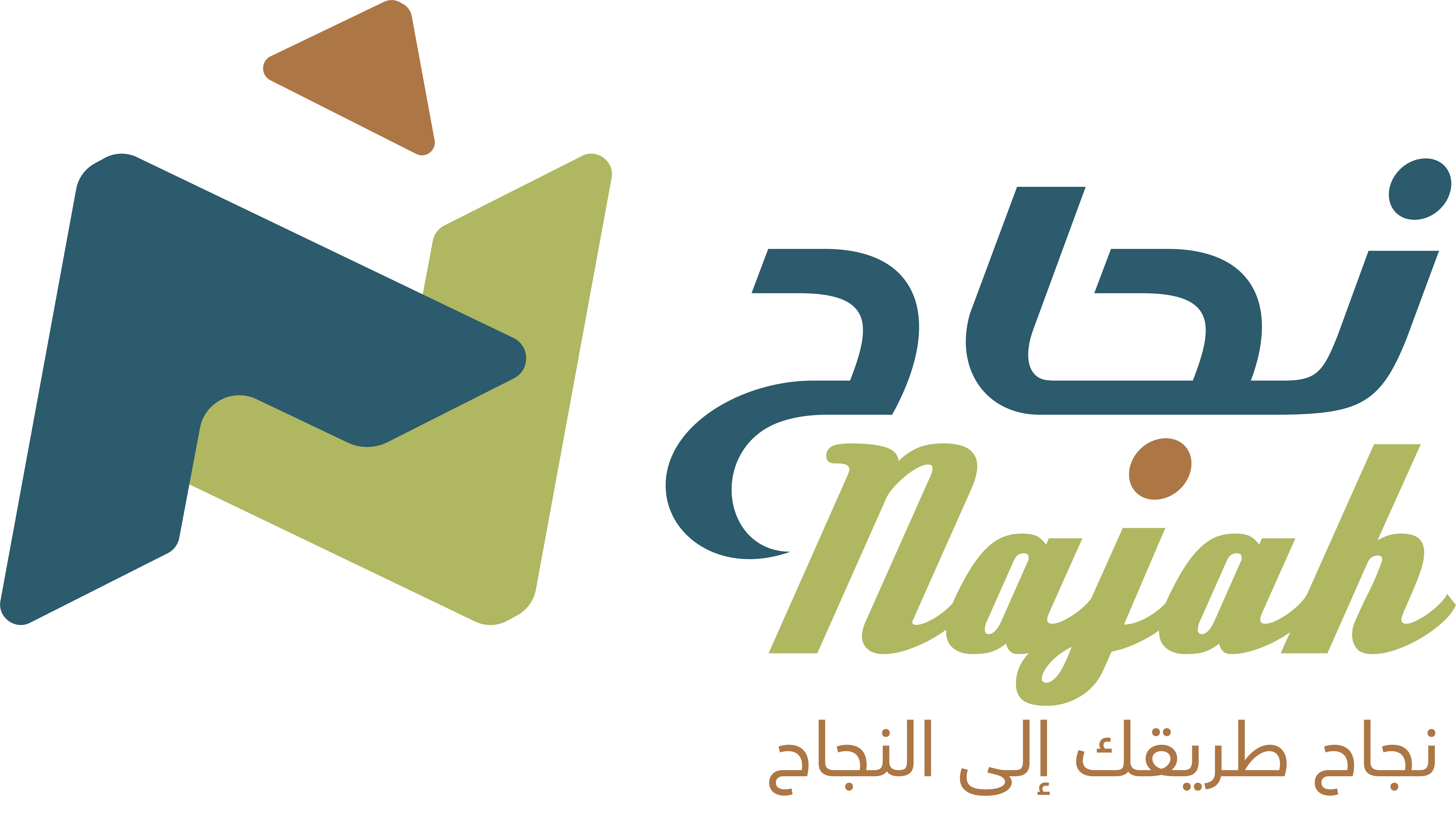 نجاح للاستشارات